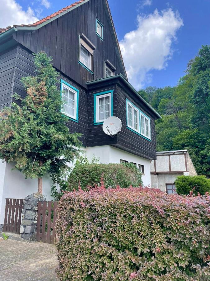 Sonniges Apartment 알텐브락 외부 사진