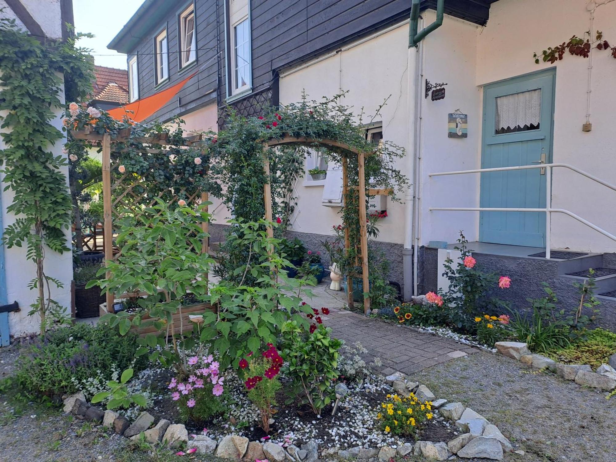 Sonniges Apartment 알텐브락 외부 사진